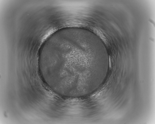 X0000095540675200712281544