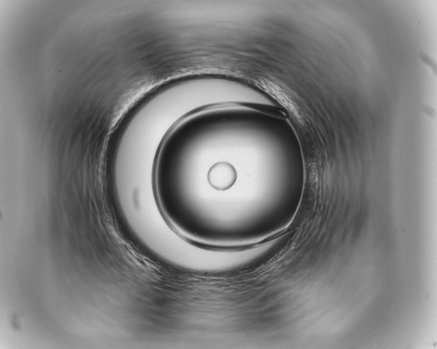 X0000095540676200712281544