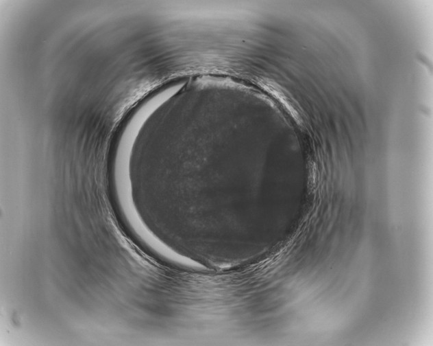 X0000095540677200712281544