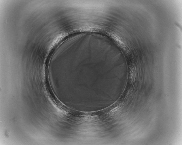 X0000095540678200712281544