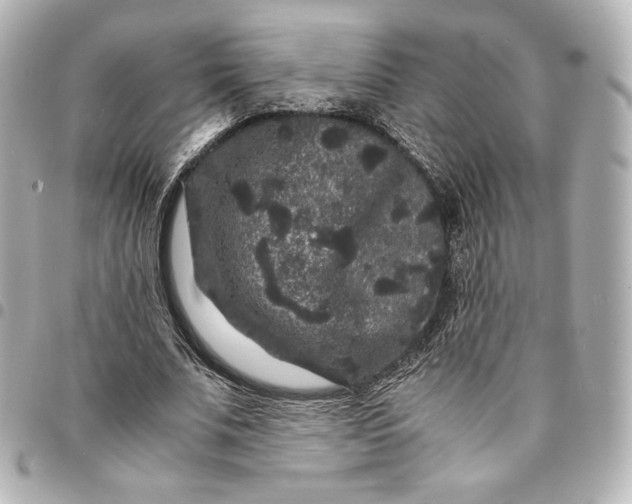 X0000095540679200712281544