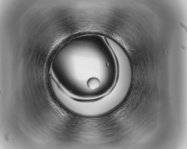 X0000095540680200712281544