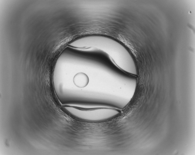 X0000095540681200712281544