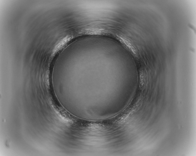 X0000095540682200712281544