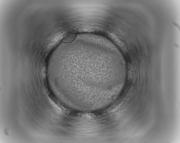 X0000095540683200712281544