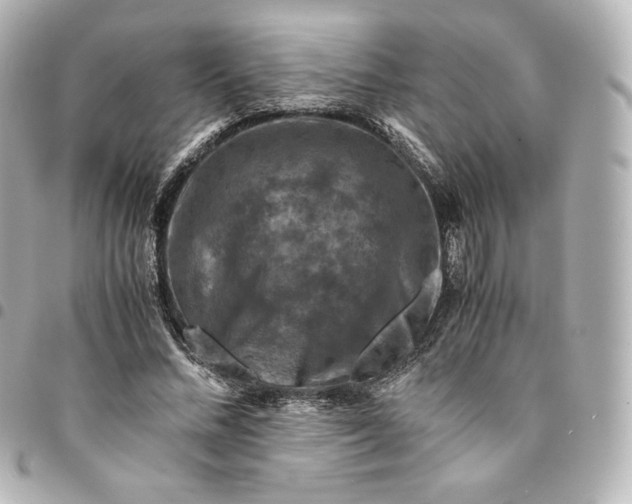 X0000095540684200712281544