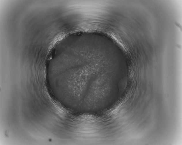 X0000095540685200712281544