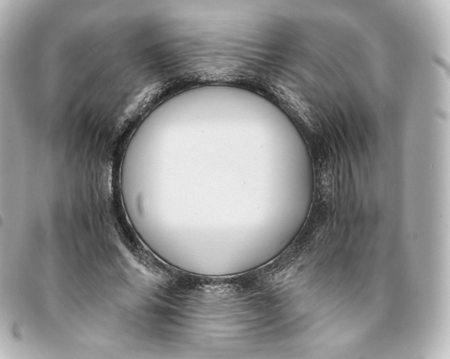 X0000095540686200712281544