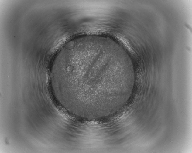 X0000095540687200712281544