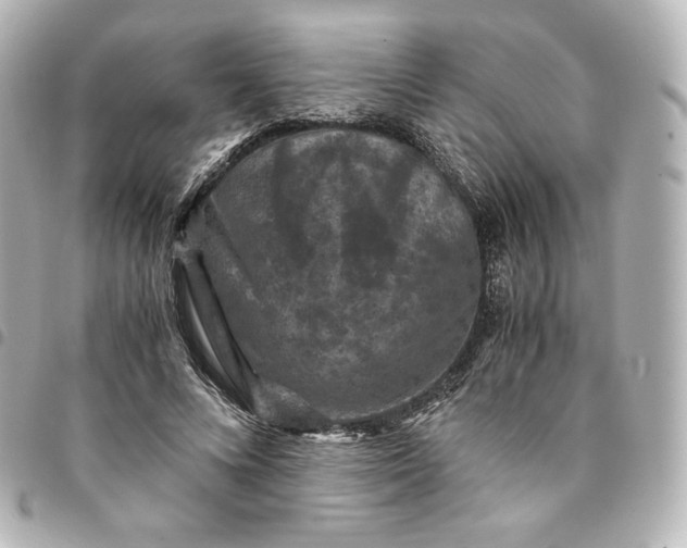 X0000095540688200712281544