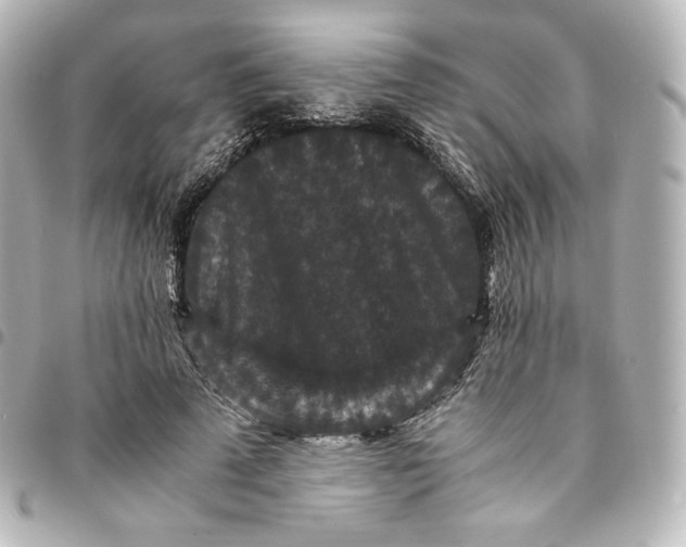 X0000095540689200712281544