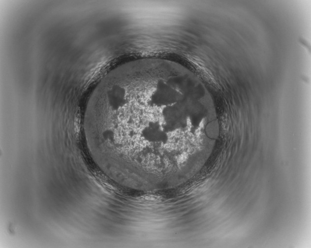 X0000095540691200712281544