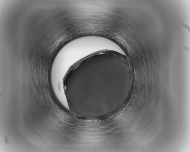 X0000095540693200712281544