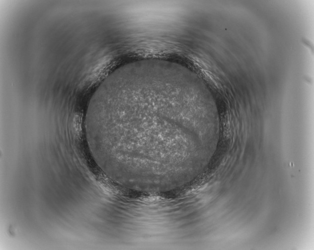 X0000095540695200712281544