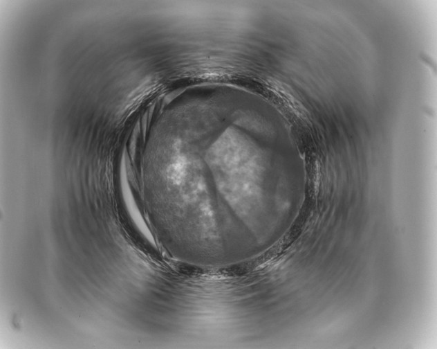 X0000095540696200712281544