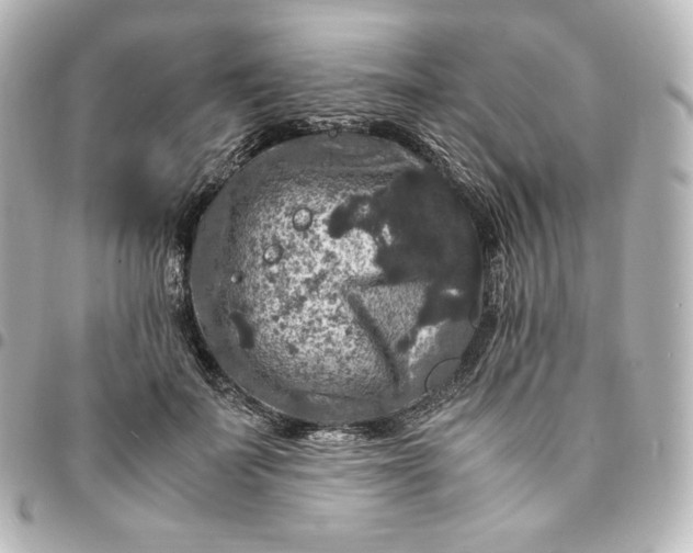 X0000095540699200712281544