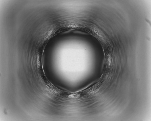 X0000095540700200712281544