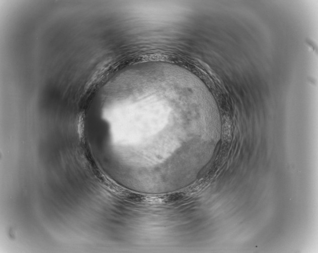 X0000095540701200712281544