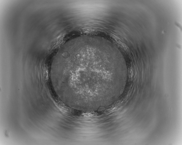 X0000095540703200712281544