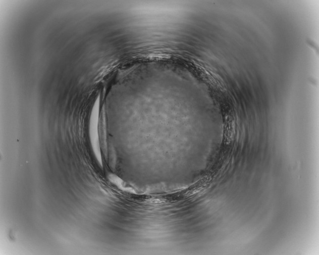 X0000095540704200712281544