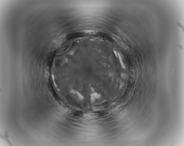 X0000095540707200712281544