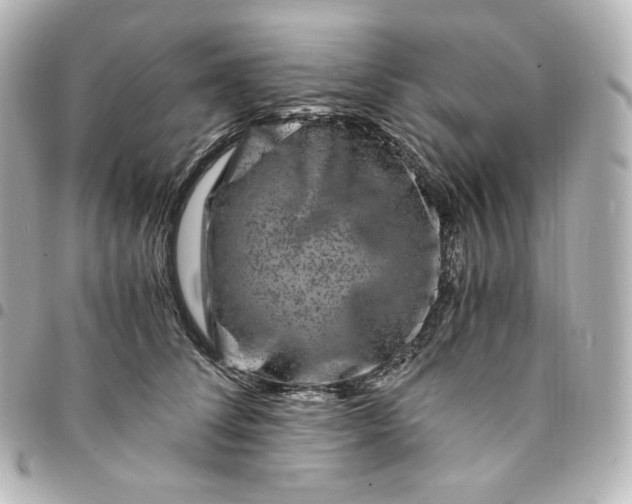 X0000095540708200712281544