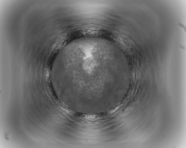 X0000095540709200712281544