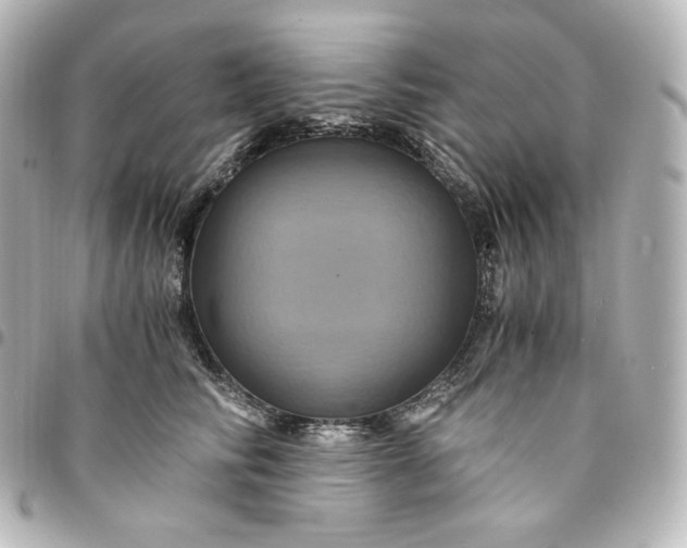 X0000095540710200712281544