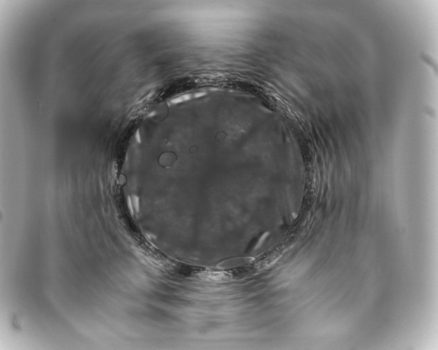 X0000095540711200712281544