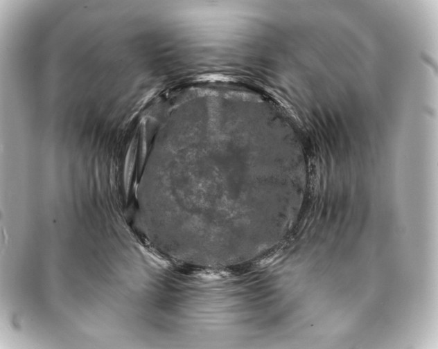 X0000095540712200712281544