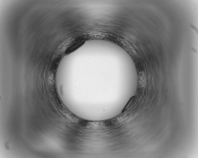 X0000095540713200712281544