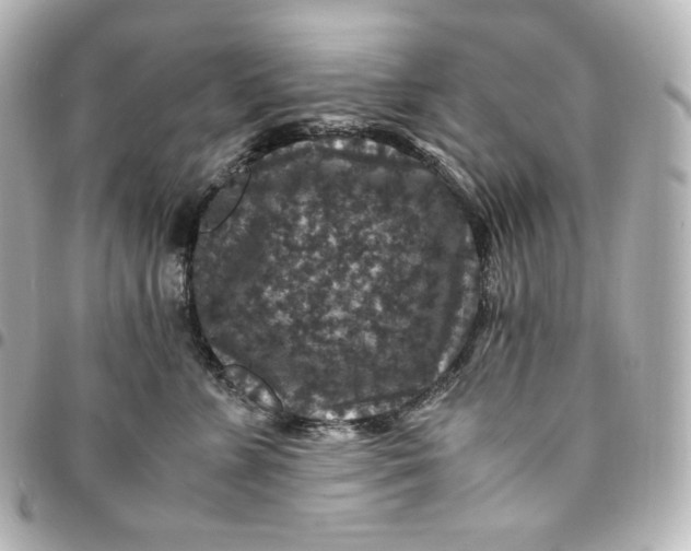 X0000095540715200712281544