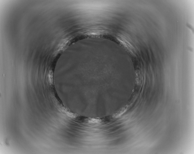 X0000095540718200712281544