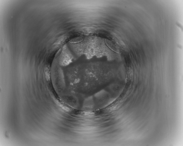 X0000095540719200712281544