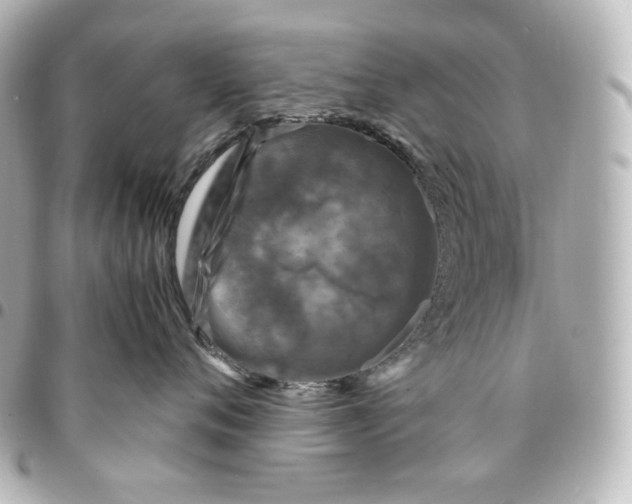 X0000095540720200712281544