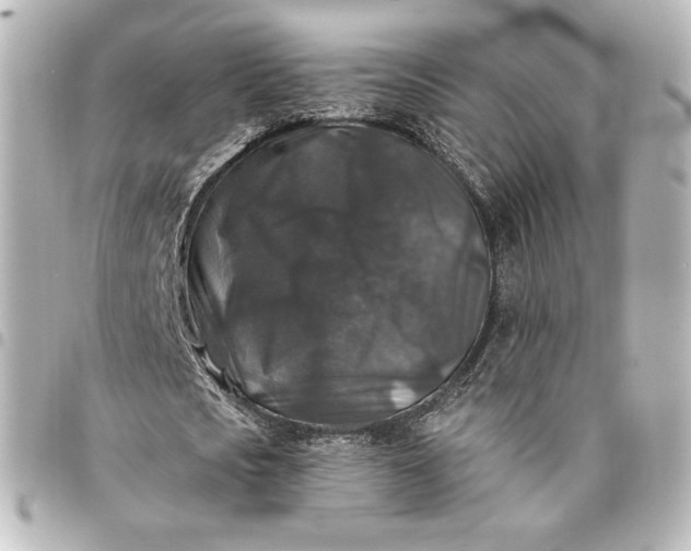 X0000095540721200712281543