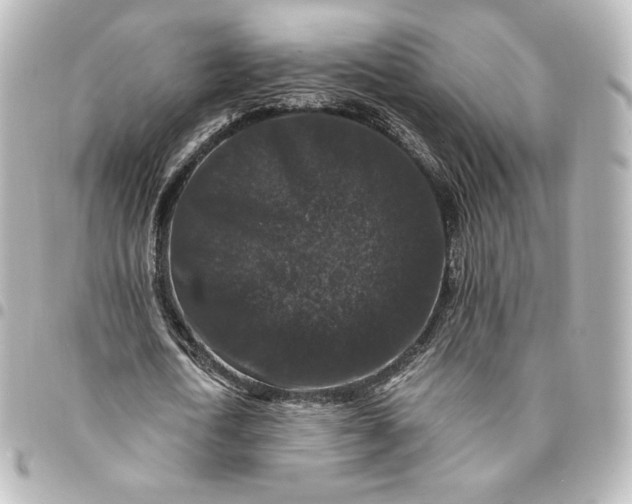 X0000095540722200712281543