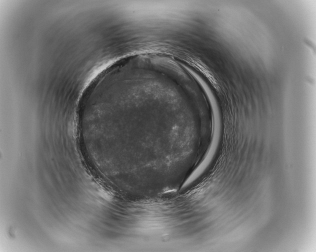 X0000095540724200712281543