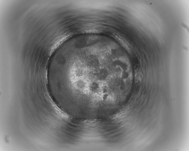 X0000095540725200712281543