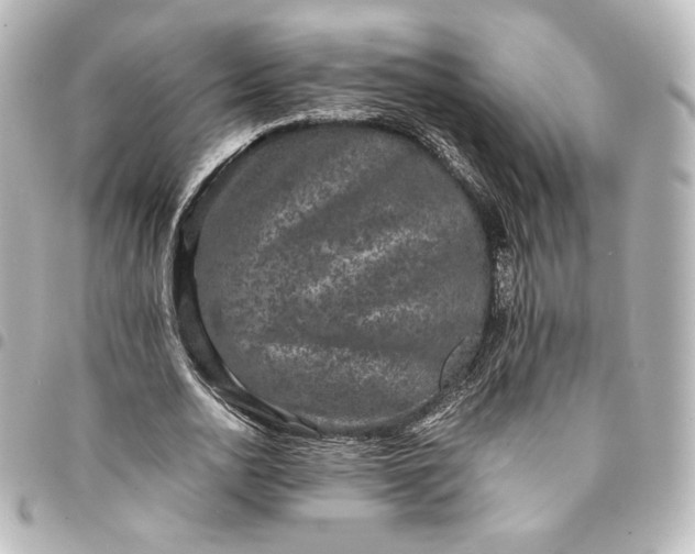 X0000095540726200712281543