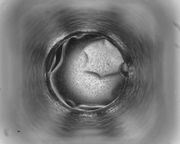 X0000095540727200712281543