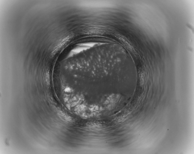 X0000095540729200712281543