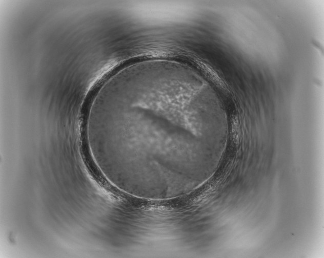 X0000095540730200712281543