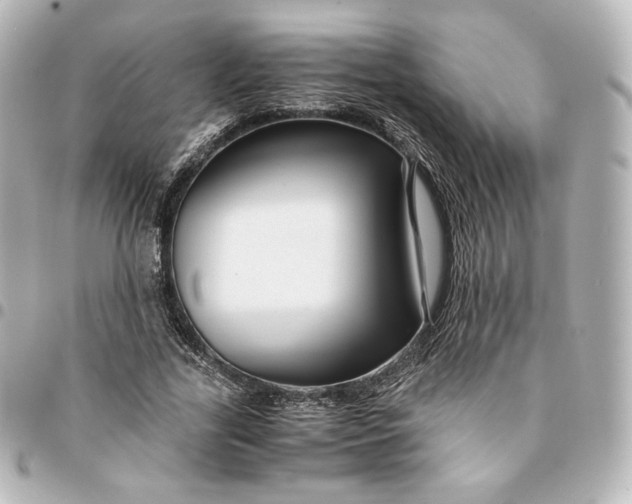 X0000095540731200712281543