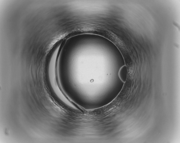 X0000095540732200712281543