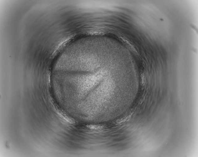 X0000095540733200712281543