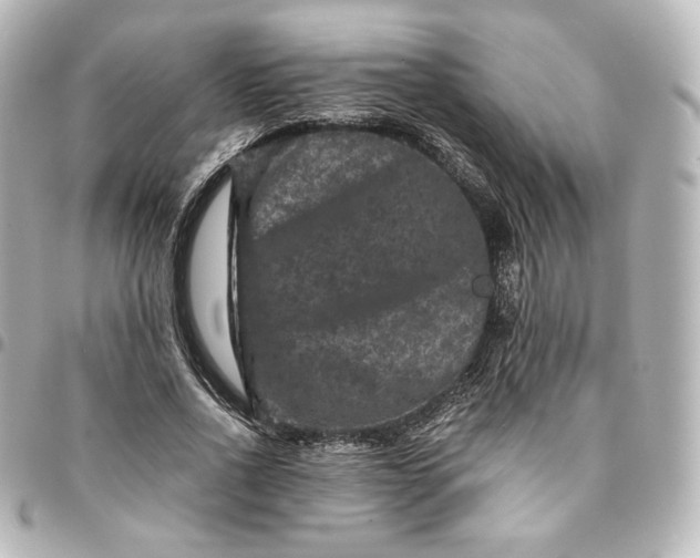 X0000095540734200712281543