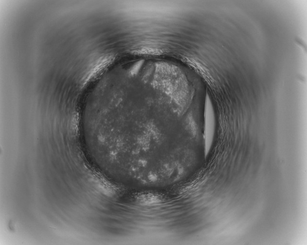 X0000095540735200712281543