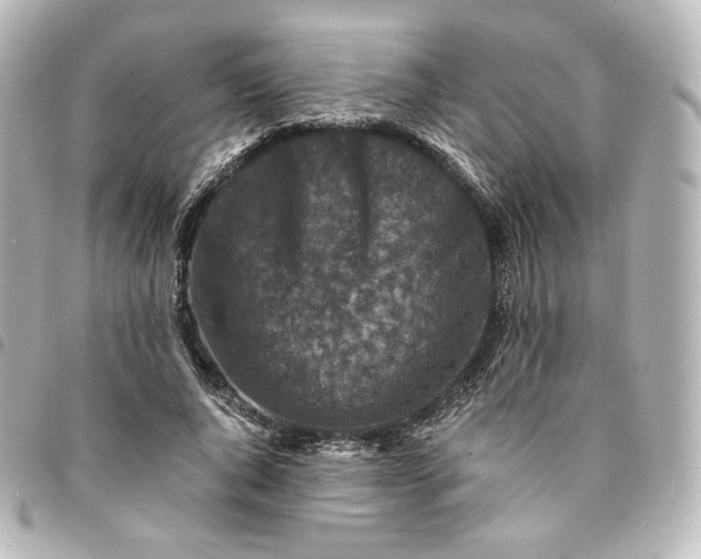 X0000095540736200712281543