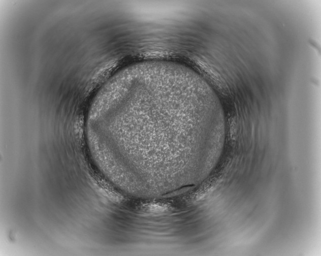 X0000095540737200712281543